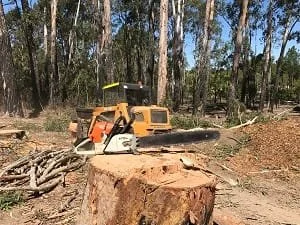 Stump removal North Lakes qld