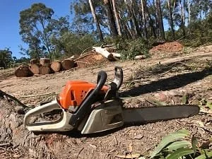 Tree removal North Lakes qld